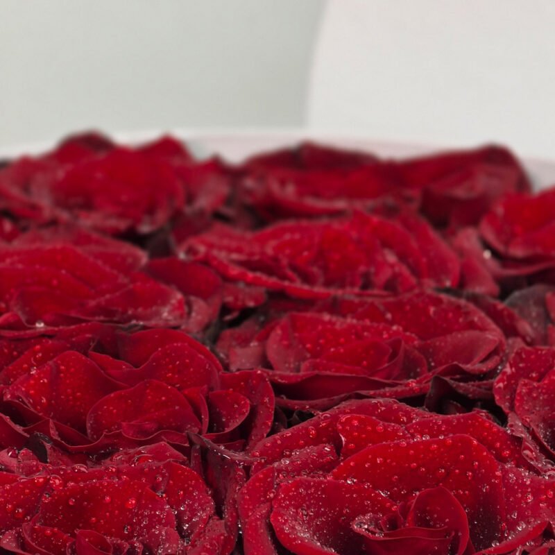 Caixa Box Rosas Importadas M – Infinity Love - Imagem 5