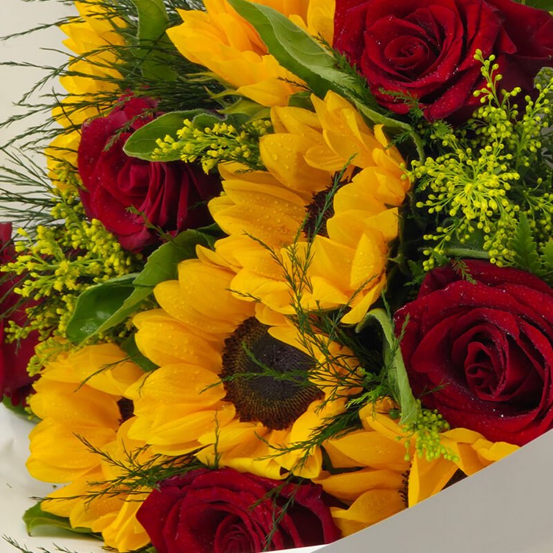 Buquê Girassóis e Rosas Vermelhas - Amores de Girassol - Imagem 6