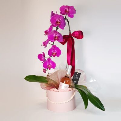 Orquídea Para Presente no Box Com Vinho