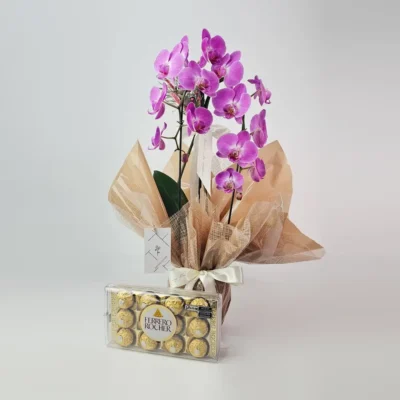 Orquídea Rosa Para Presente Com Chocolate