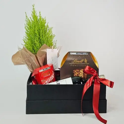Caixa Com Vinho e Panettone - Sonho de Natal