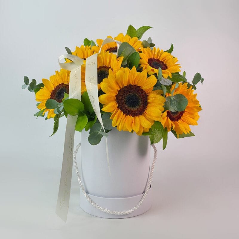 Caixa Box Girassóis M – Sunshine