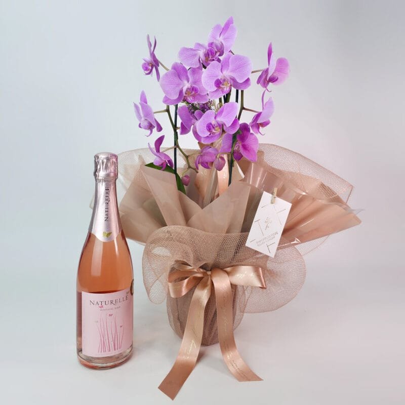 Orquídea Phalaenopsis Rosa Embalada na Tela e Espumante