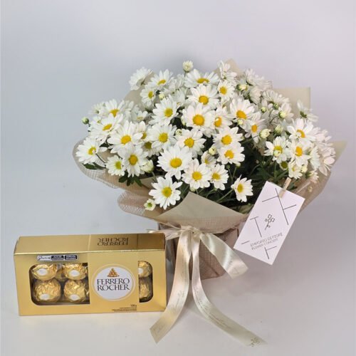Flor Margarida Branca Embalada Presente Com Chocolate