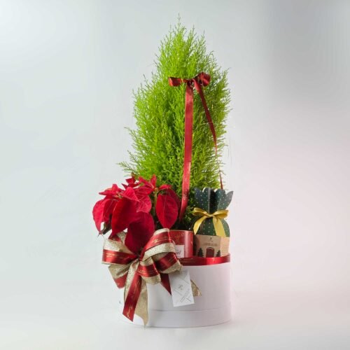 Composição Pinheiro de Natal