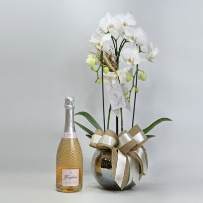 Orquídea Branca Para Presente - Vaso Luxo Com Espumante