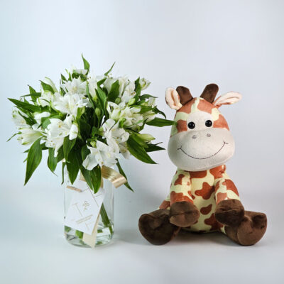Arranjo de Flores Naturais no Pote Com Pelúcia
