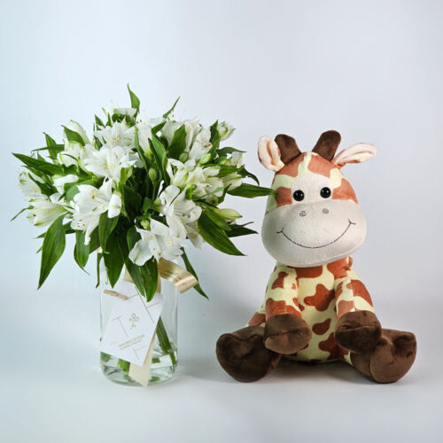 Arranjo de Flores Naturais no Pote Com Pelúcia